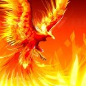 Ukážka z obrázkov v albume Phoenix