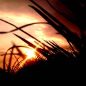 Sun shine through the pain