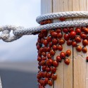budem paradne makat aby som potom videla to co sa oplati vidiet s tymi najdrahsimi