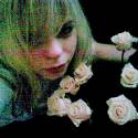 white rose....love *_*