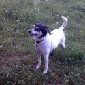 Roxy