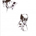 wolverine sketches