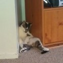 spaci maci!!! ^__^