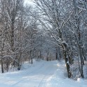 ..cesta...