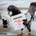 :D:D:DDuž ani na záchode mu nedajú pokoj!:D