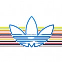 4EvEr