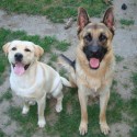 best friends forever :)