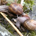 love is in the air...