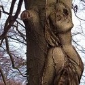 The wind tears a leaf from the willow tree;
it falls lightly upon the water,
and the waves carry it away.
Time has gradually effaced a memory from my heart,
and I watch the willow leaf drifting away on the waves.
Since I have forgotten her whom I loved,
I