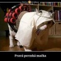 :D:D:D