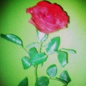 dostala som :) 