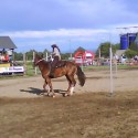 Gate race- Little Wind Dancer :)...( A ja :))