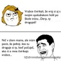 Obrázok