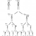true story...