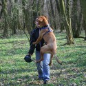 roky lieta :D