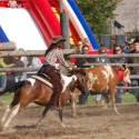 Cattle penning :)