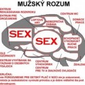 Obrázok