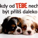:D :D pravda...