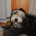 Obrázok