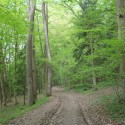 Obrázok