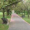park