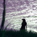 meadow x)
