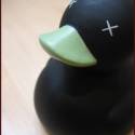 Black duck
