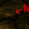 Ukážka z obrázkov v albume Amnesia