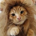Roarh!!!! ^___^