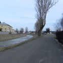 alej