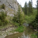 V  Poľsku - Rezerwat Biala Woda.. pešo až zo Slovenska