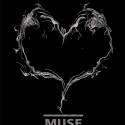 MUSE