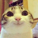 :D :D 