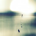 path to enlightenment