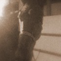 Konik cislo 1