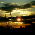 by rainbow...