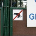 I také atypické značky v Brusseli nájdete...
