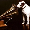 Nipper The Dog !!! proste , borec