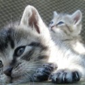 ňuňuuu :* fotka spred 2mesacou...