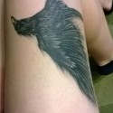 My beautiful crow ..R.I.P Brandon Lee ♥ 