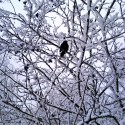 Ukážka z obrázkov v albume Mikulov v zime :)