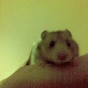 Mojaaa:P