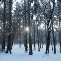 sunshine...