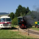 Ukážka z obrázkov v albume Hobby & spol.