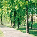 Obrázok