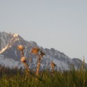 Ukážka z obrázkov v albume Tatry moje rodne milovane