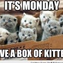 ^__^
