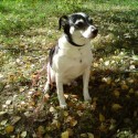 Roxy