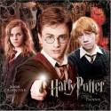 Harry:)