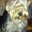 Moj havino...Lucky:)